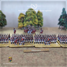 Load image into Gallery viewer, Napoleonic French / Russian Bundle 10mm
