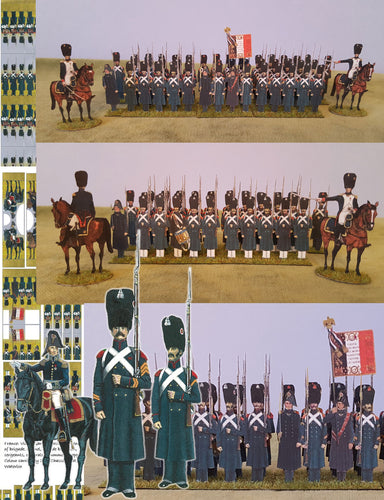 France: Chasseurs of the Guard, 1815