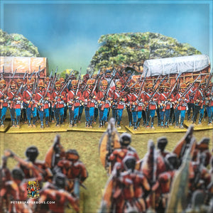 Colonial Anglo-Zulu War British Army