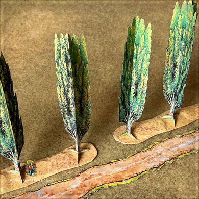 Trees Poplars