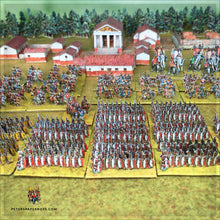 Load image into Gallery viewer, Gallic Wars 10mm Bundle (All Sheets)