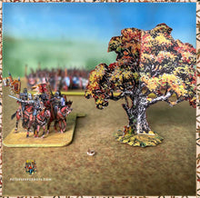 Load image into Gallery viewer, HASTINGS960 Bundle