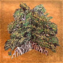 Load image into Gallery viewer, Trees - Jungle Bundle