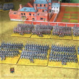 Napoleonic British Allies Bundle 10mm