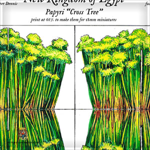 Papyrus, Broad River and Riverbanks