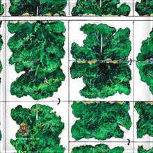 Load image into Gallery viewer, Colonial - Desert Scrub Bushes