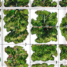 Load image into Gallery viewer, Colonial - Desert Scrub Bushes