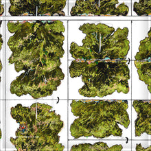Load image into Gallery viewer, Colonial - Desert Scrub Bushes