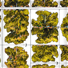 Load image into Gallery viewer, Colonial - Desert Scrub Bushes
