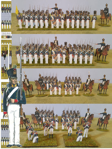 France: Voltigeurs of the Young Guard, 1815