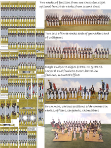 France: Line Infantry in Trousers, 1812-15 (15 figures per company, separate eagle)