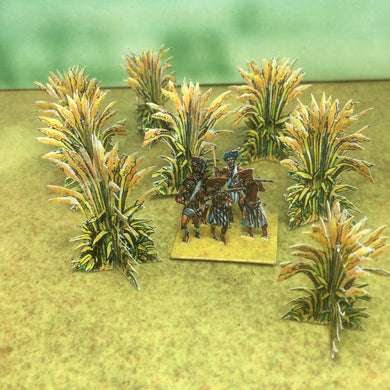 Elephant Grass
