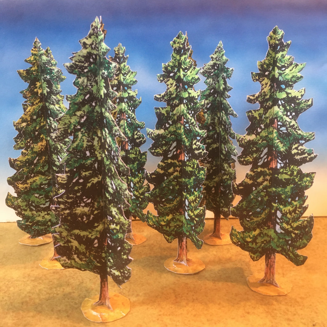 Forest Pine Trees